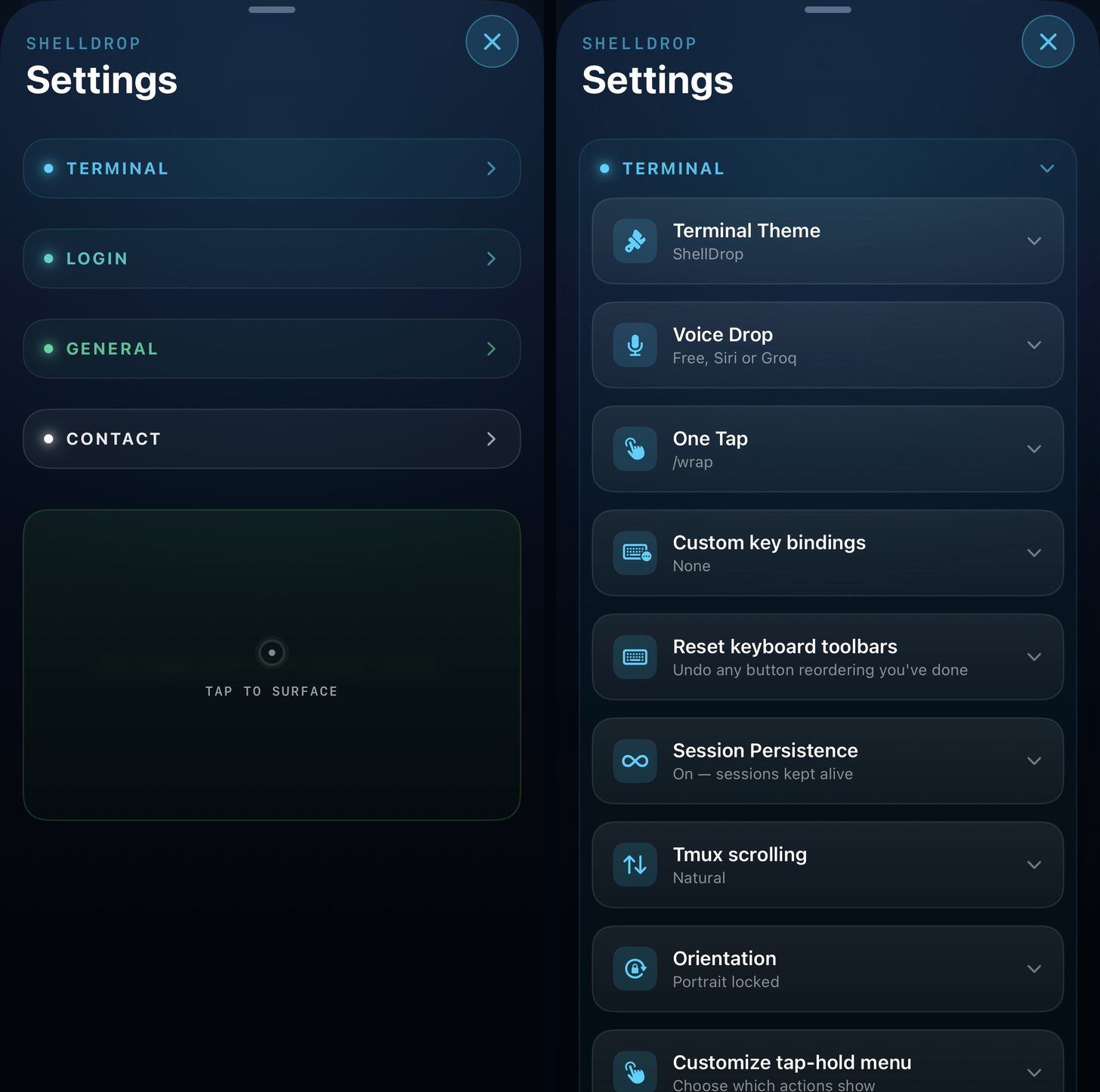 ShellDrop Settings overview and Terminal settings side by side